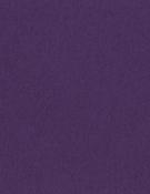 Boysenberry 8.5x11 Smoothies Cardstock Pack - Bazzill