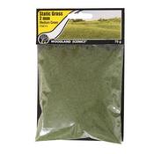 Medium Green - Woodland Scenics Static Grass 2mm