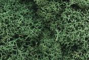 Light Green - Woodland Scenics Lichen