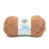Spice - Lion Brand Basic Stitch Antimicrobial Thick & Quick Yarn