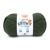 Moss - Lion Brand Local Grown Yarn