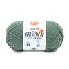 Sagebrush - Lion Brand Local Grown Yarn