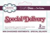 Mini Shadowed Sentiments Special Deliver - Creative Expressions Craft Dies By Sue Wilson