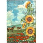 Horses Rice Paper - Sunflower Art - Stamperia