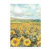 Sunflower Art A6 Rice Paper Backgrounds Pack - Stamperia