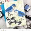 Spark Joy: Sweet Greetings - Altenew