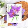 Craft-A-Flower: Saffron Layering Die Set - Altenew