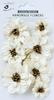 Ivory Pearl - Little Birdie Galina Paper Flowers 7/Pkg