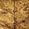 Hints of Copper Paper - Nature's Texture - Reminisce