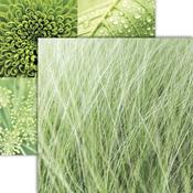 Forest Greens Paper - Nature's Texture - Reminisce