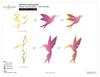 Shimmery Hummingbirds Simple Coloring Stencil - Altenew