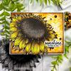 Golden Sunflower Flowerheads Stamp Set - Picket Fence Studios