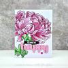 Blooming Chrysanthemum Stamp Set - Picket Fence Studios