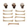 Skulls + Bones Halloween - Tim Holtz Idea-ology