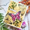 Nature Walk Clear Stamps - Gina K Designs