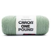Succulent - Caron One Pound Yarn