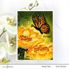 Mini Butterfly Stamp Set - Altenew