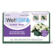 8.9"X3.8"X2.8" - FloraCraft WetFoM Block 2/Pkg