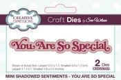 You Are So Special, Shadowed Sentiments - Creative Expressions Mini Craft Dies By Sue Wilson