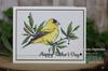 Glorious Goldfinches Stamps - Gina K Designs