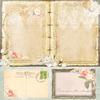 Timeless Paper - Cherished Elegance - Memory-Place