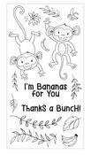 Going Bananas Clear Stamp Set by Catherine Pooler - Sizzix - PRE ORDER