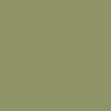 Light Green / Brown 12x12 Coordinating Solid Paper - Special Delivery Baby - Echo Park
