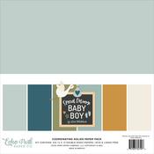 Special Delivery Baby Boy Solids Kit - Echo Park