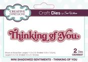 Thinking Of You - Shadowed Sentiments - Creative Expressions Mini Craft Dies By Sue Wilson