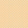 Carrot Paper - Spring Checkerboard - Echo Park