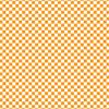 Tangerine Paper - Summer Checkerboard - Echo Park