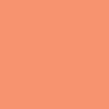 Pink / Orange 12x12 Coordinating Solid Paper - My Best Life - Echo Park