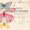 Spread Your Wings Paper - Simple Vintage Spring Garden - Simple Stories