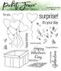 Surprise! It's Your Day Stamps - Picket Fence Studios