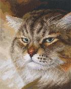 Sly And Extremely Beautiful - Macho Cat - RTO Counted Cross Stitch Kit 6.25"X8"