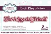 For A Special Friend - Mini Shadowed Sen - Creative Expressions Craft Dies By Sue Wilson