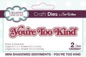 You're Too Kind - Mini Shadowed Sentimen - Creative Expressions Craft Dies By Sue Wilson