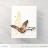 Beautiful Butterfly Simple Coloring Stencil - Altenew