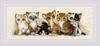 Kittens (14 Count) - RIOLIS Counted Cross Stitch Kit 15.75"X6"