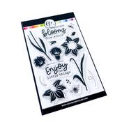 Daffodil Blooms Stamp Set - Joys Of Spring - Catherine Pooler