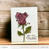 Rustic Rose Stamp Set - Altenew