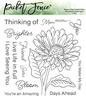 Brighter Days Gerbera Daisy Stamps - Picket Fence Studios