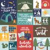 Multi Journaling Cards - Into The Wild - Echo Park - PRE ORDER