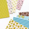 Citrus & Sass 6x6 Patterned Paper - Catherine Pooler