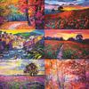 Nature's Reflection Paper - Nature's Reflection - Reminisce - PRE ORDER
