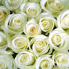 Wedding Roses Paper - Our Wedding - Reminisce