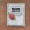 Big Congrats Stamps - Gina K Designs