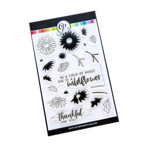 Daisy Days Floral Stamp Set - Catherine Pooler
